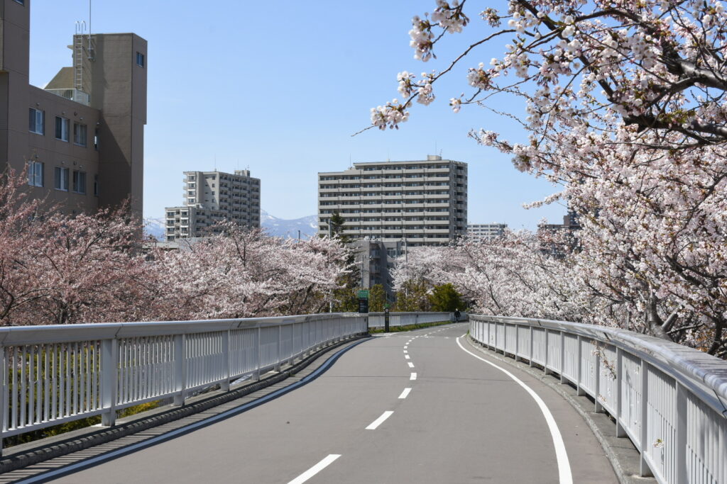 札幌市白石区にある「白石こころーど(白石サイクリングロード)」