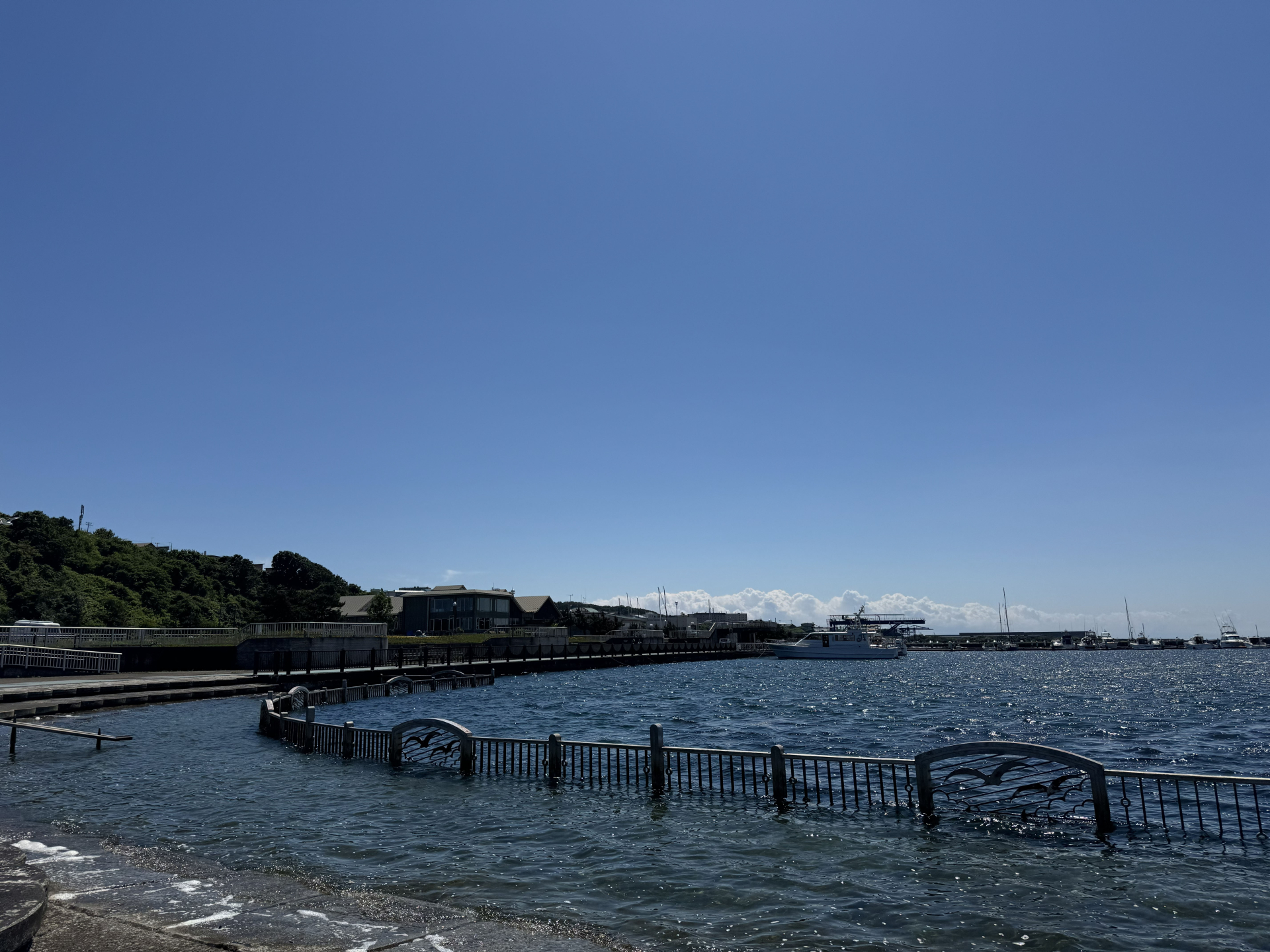 室蘭市の絵鞆臨海公園の海沿いの柵と海の風景
