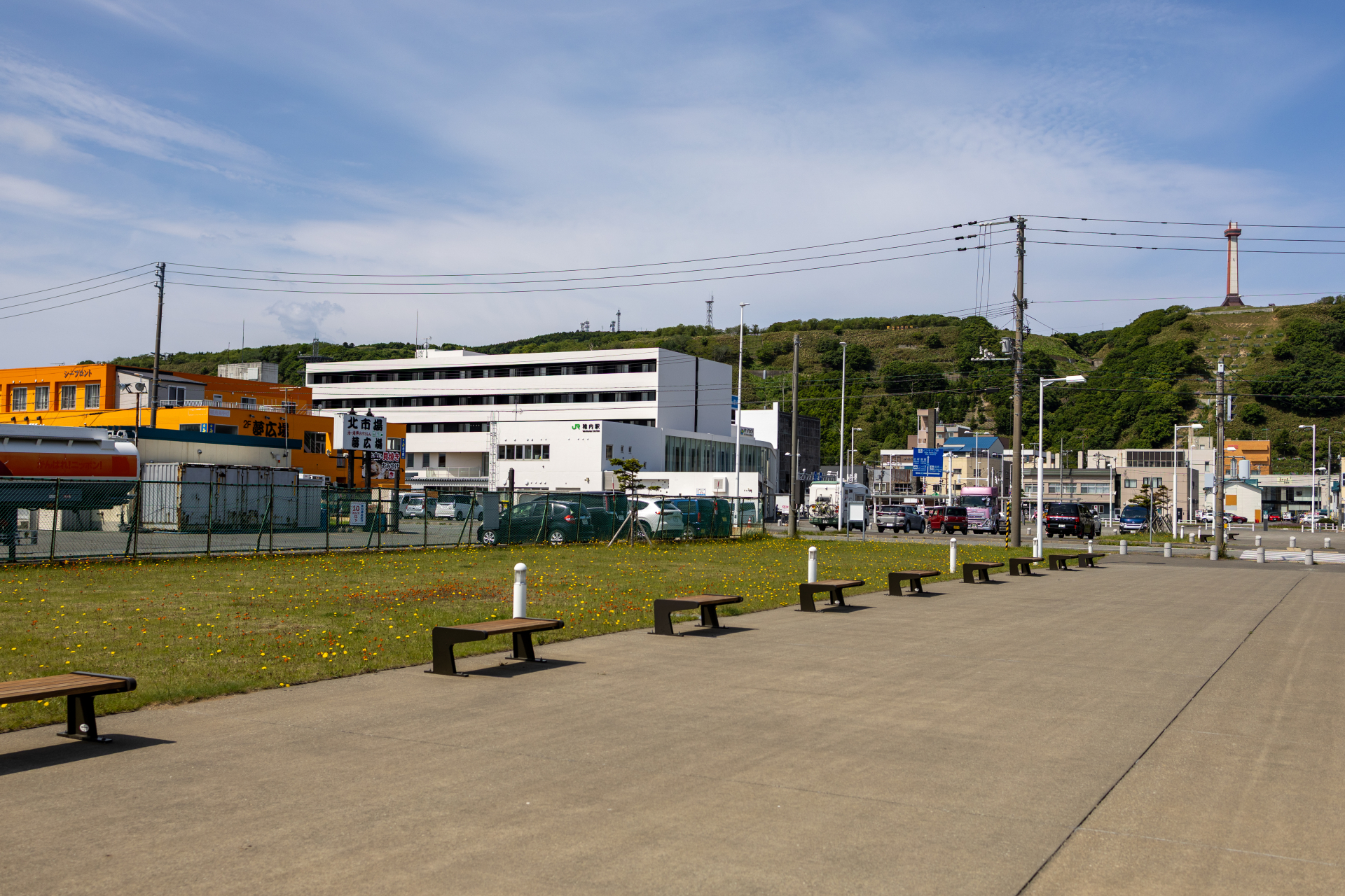 稚内市の公園沿いの市街地と丘の上に見える百年記念塔