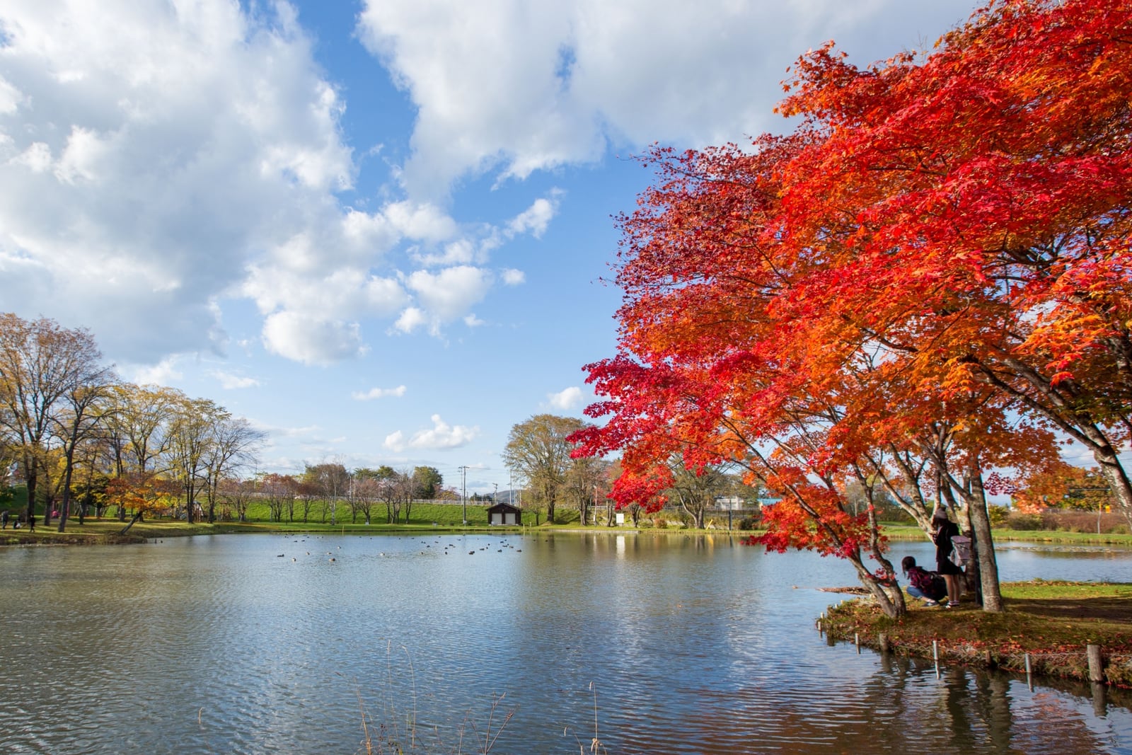 清水町の清水公園の池と紅葉
