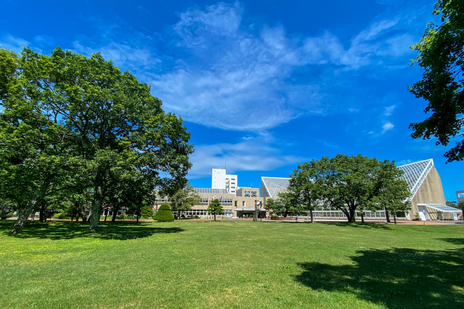 苫小牧市サンガーデンと公園