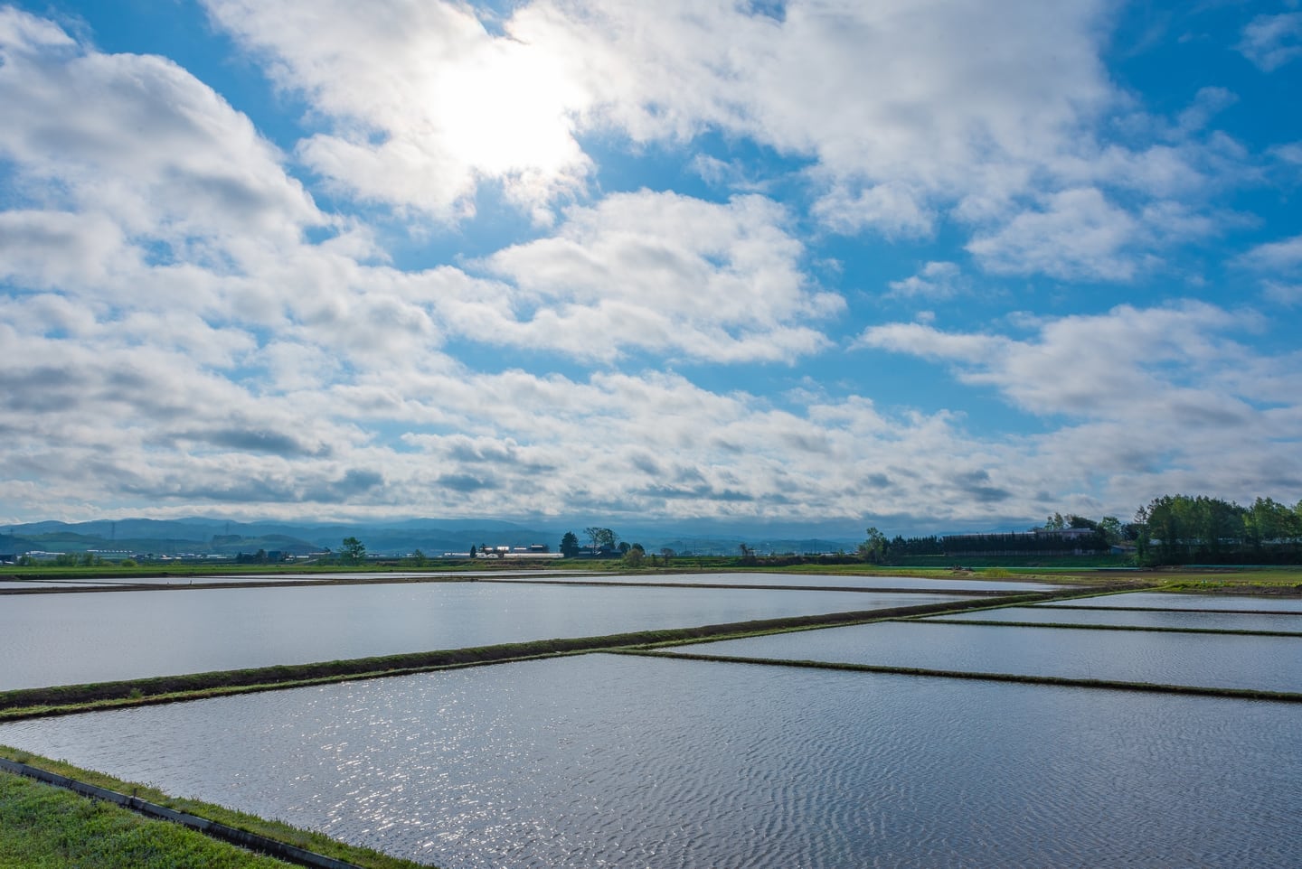 栗山町の水田と広い空