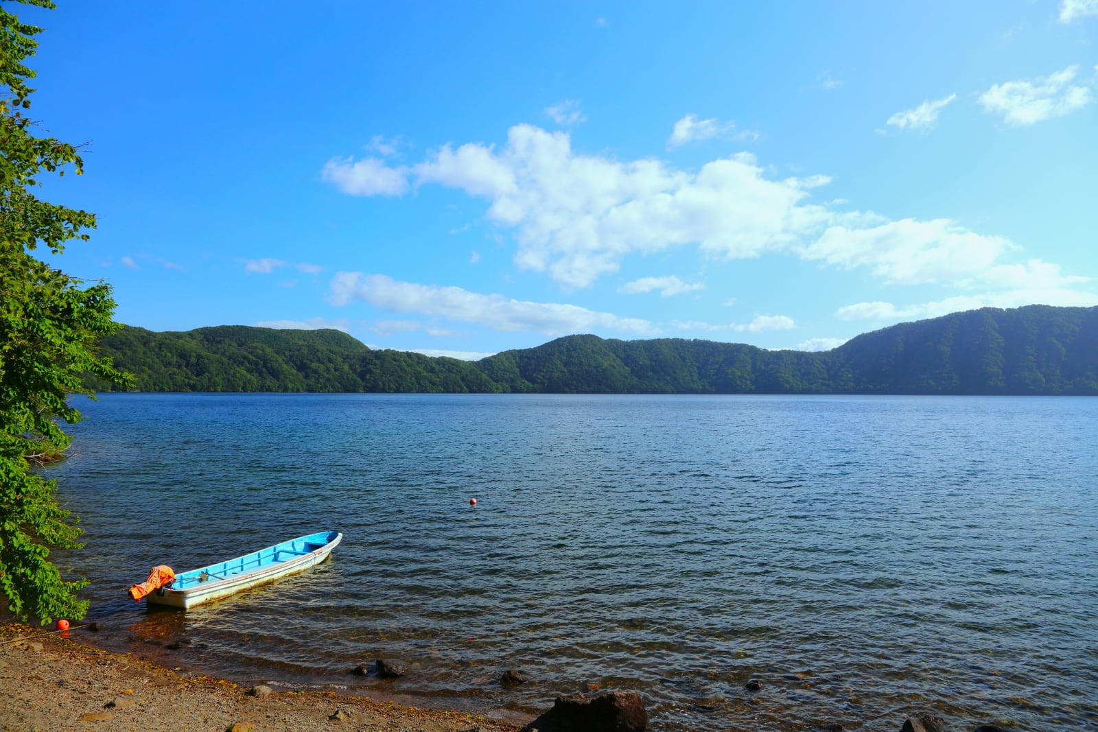 白老町の倶多楽湖の湖面と周囲の森