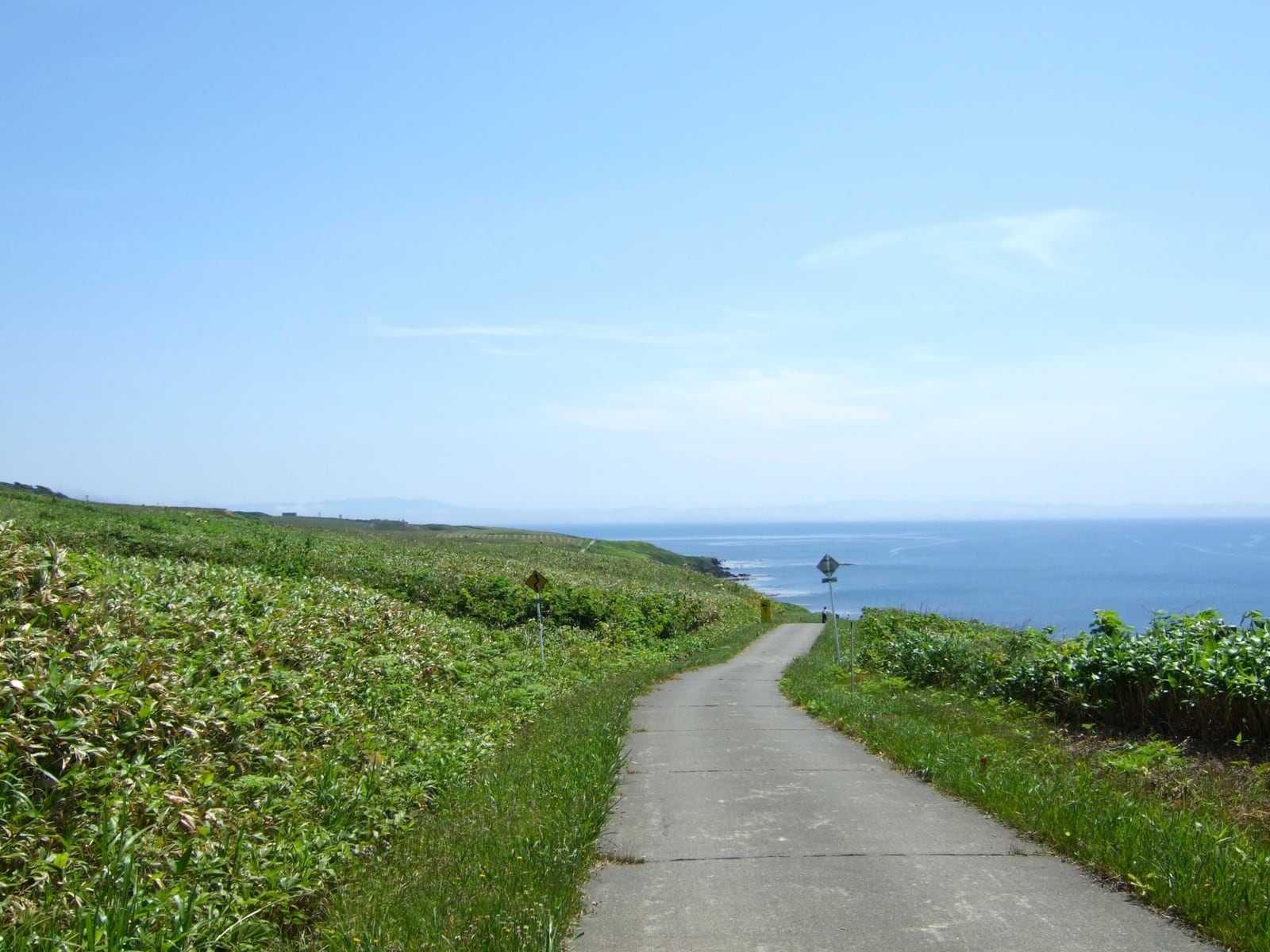 羽幌町の焼尻島の道と草地、海