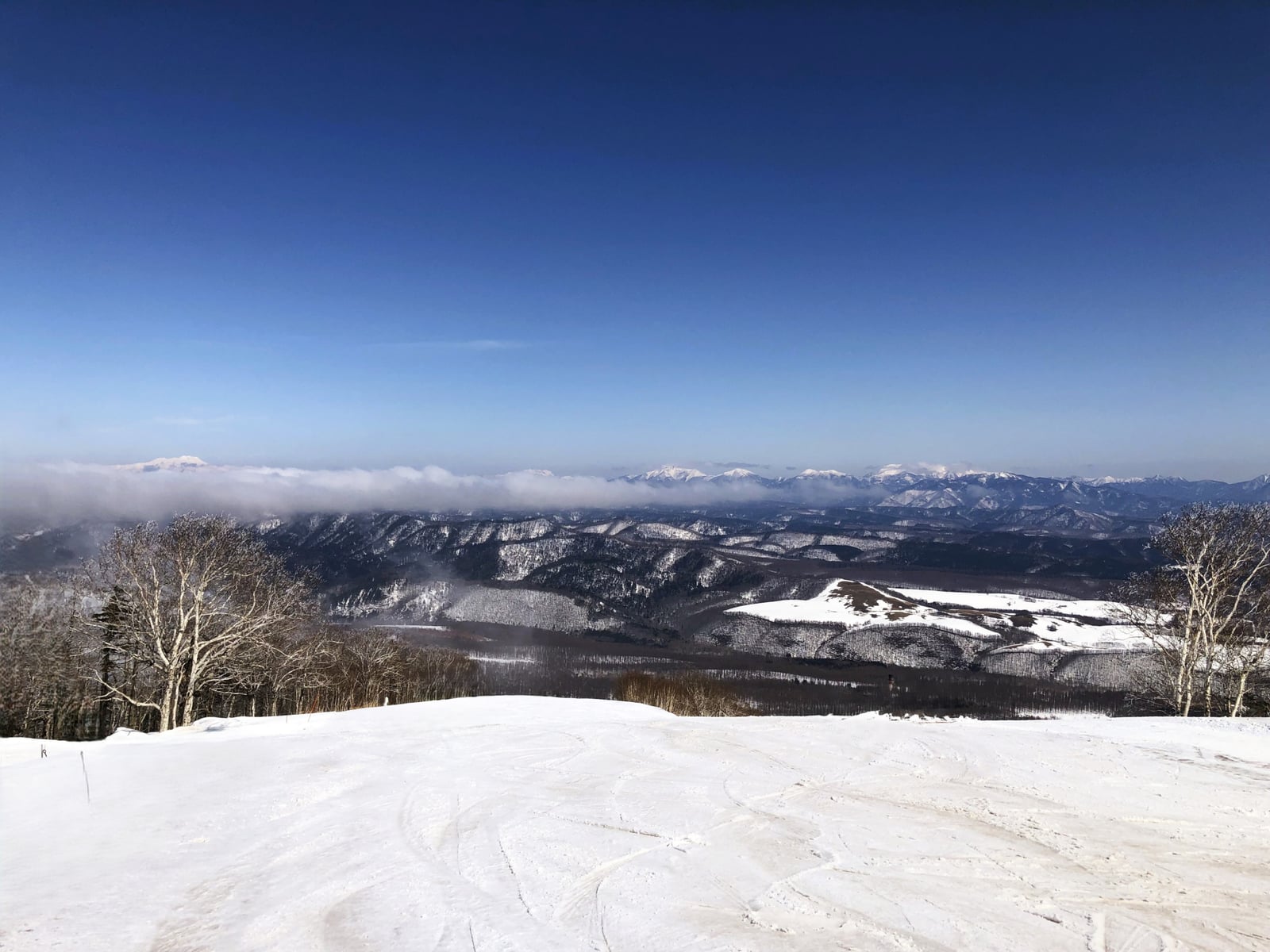 富良野の雪景色と十勝岳連峰