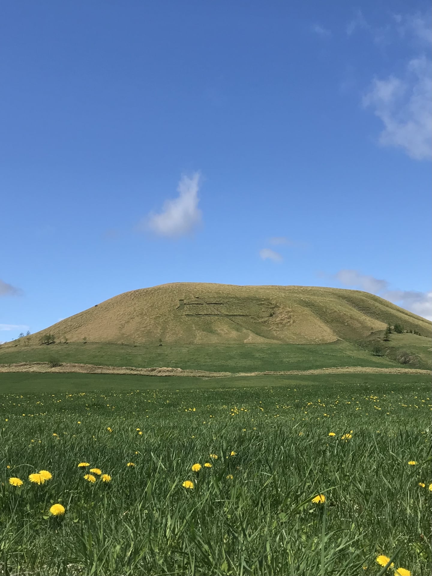 中標津町のモアン山と牧草地
