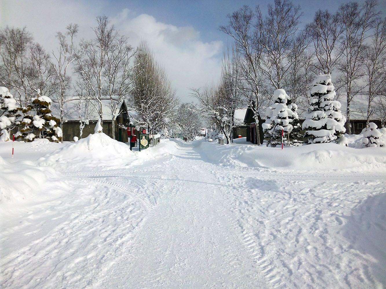 余市町の雪に覆われた道と木々